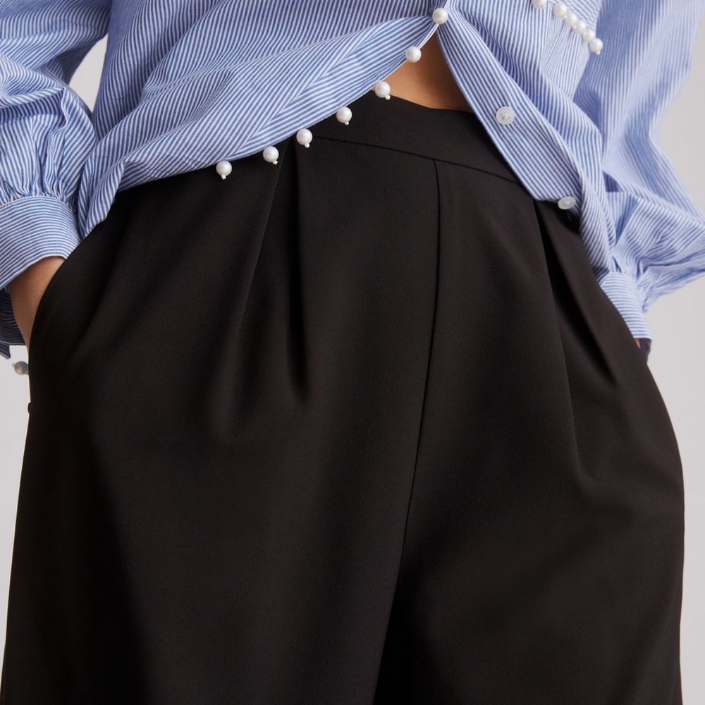 Anthropologie Hutch pleaded wide leg pants 👖